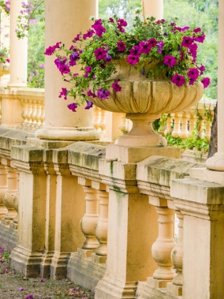 Picture of PORTUGAL-AVEIRO-PARQUE DOM PEDRO INFANTE IN AVEIRO-STONE BALUSTRADE WITH PERGOLA AND COLUMNS