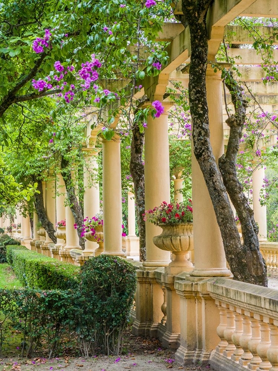 Picture of PORTUGAL-AVEIRO-PARQUE DOM PEDRO INFANTE IN AVEIRO-STONE BALUSTRADE WITH PERGOLA AND COLUMNS