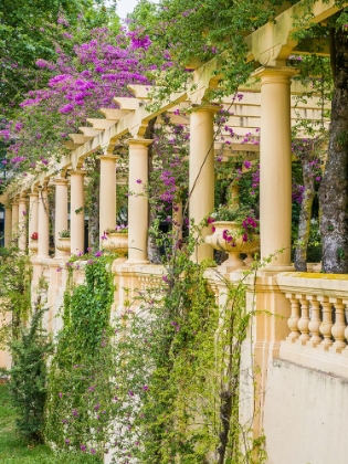 Picture of PORTUGAL-AVEIRO-PARQUE DOM PEDRO INFANTE IN AVEIRO-STONE BALUSTRADE WITH PERGOLA AND COLUMNS