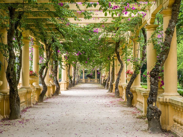 Picture of PORTUGAL-AVEIRO-PARQUE DOM PEDRO INFANTE IN AVEIRO-STONE BALUSTRADE WITH PERGOLA AND COLUMNS