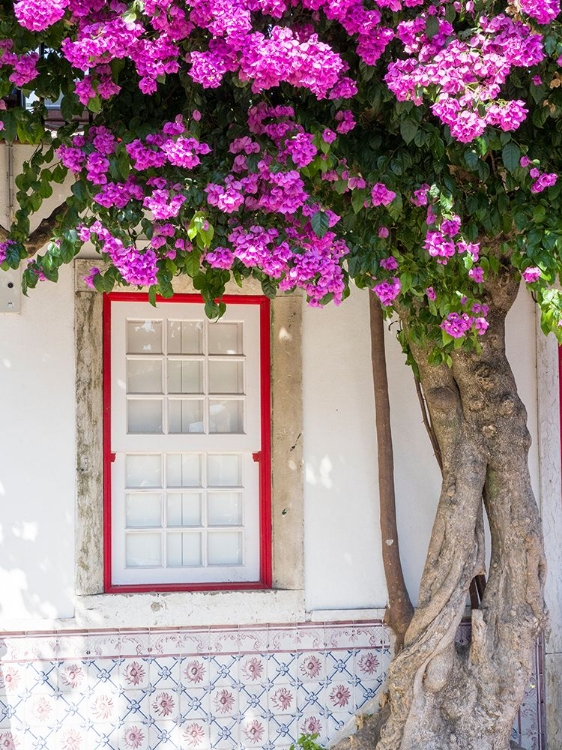 Picture of PORTUGAL-LISBON-PINK FLOWERS OF BOUGAINVILLEA PLANT AND HISTORICAL BUILDING NEXT TO MIRADOURO DE SA