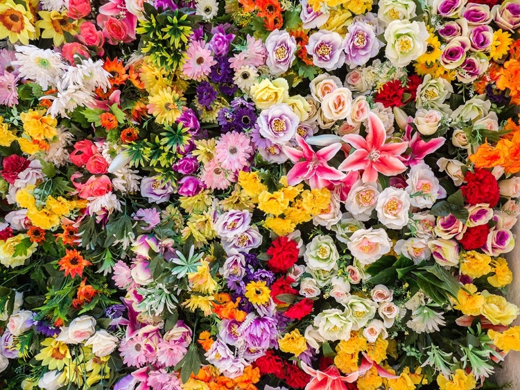 Picture of PORTUGAL-LISBON-THE SAN ANTONIO WALL FLOWERS NEAR THE ENTRANCE OF THE MUSEU DE LISBOA