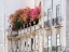 Picture of PORTUGAL-LISBON-COLORFUL BOUGAINVILLEA TRAILING OVER BALCONY OF WHITE BUILDING