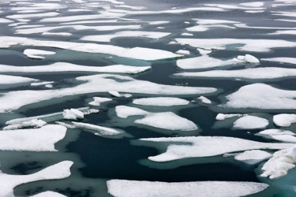 Picture of FLOATING ICE IN CHUKCHI SEA-RUSSIAN FAR EAST