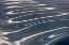 Picture of RIPPLES PATTERN-BERING SEA-RUSSIA FAR EAST