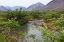 Picture of GLACIER RIVER-YTTYGRAN ISLAND-BERING SEA-RUSSIA FAR EAST
