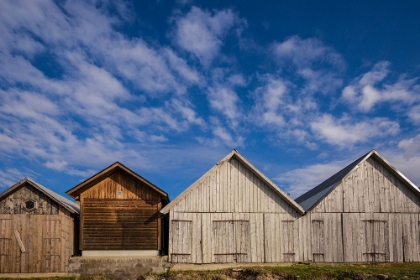 Picture of SWEDEN-GOTLAND ISLAND-DJUPVIK-FISHING SHACKS