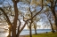 Picture of SWEDEN-GOTLAND ISLAND-VISBY-STRANDPROMENADEN-COASTAL WALKWAY-SUNSET