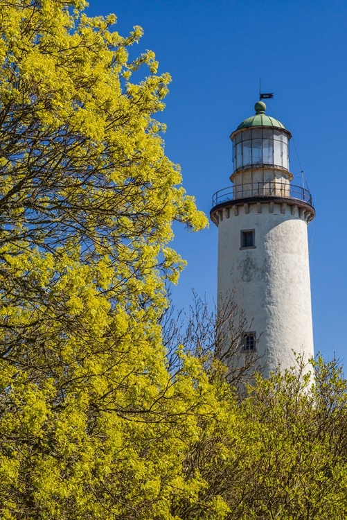 Picture of SWEDEN-FARO ISLAND-SKOGSBO-SKOGSBO LIGHTHOUSE