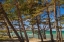 Picture of SWEDEN-FARO ISLAND-FIFANG-VIEW OF AJKESVIK BAY