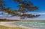 Picture of SWEDEN-FARO ISLAND-FIFANG-VIEW OF AJKESVIK BAY