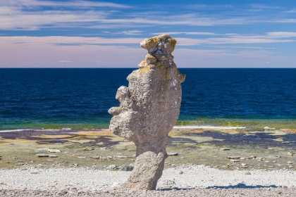 Picture of SWEDEN-FARO ISLAND-LANGHAMMARS AREA-LANGHAMMAR COASTAL LIMESTONE RAUK ROCK