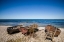 Picture of SWEDEN-FARO ISLAND-KURSVIKEN-COASTAL FARMERS FISHING BOATS