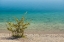 Picture of SWEDEN-GOTLAND ISLAND-LABRO-BLA LAGUNEN-BLUE LAGOON-NATURAL SWIMMING AREA IN FORMER CHALK QUARRY WI