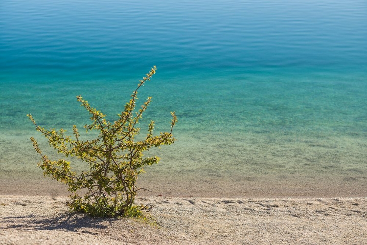 Picture of SWEDEN-GOTLAND ISLAND-LABRO-BLA LAGUNEN-BLUE LAGOON-NATURAL SWIMMING AREA IN FORMER CHALK QUARRY WI