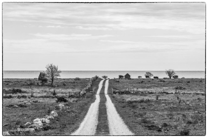 Picture of SWEDEN-GOTLAND ISLAND-SUNDRE-COUNTRY ROAD-SOUTHERN GOTLAND