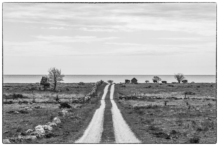 Picture of SWEDEN-GOTLAND ISLAND-SUNDRE-COUNTRY ROAD-SOUTHERN GOTLAND