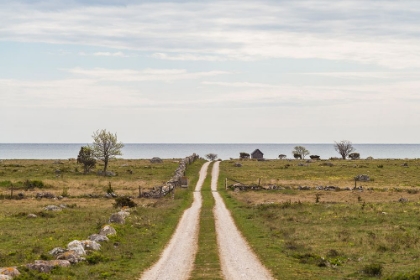 Picture of SWEDEN-GOTLAND ISLAND-SUNDRE-COUNTRY ROAD-SOUTHERN GOTLAND