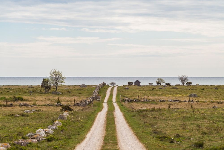 Picture of SWEDEN-GOTLAND ISLAND-SUNDRE-COUNTRY ROAD-SOUTHERN GOTLAND