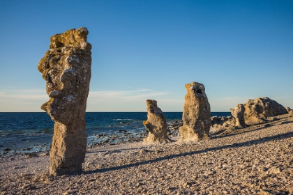 Picture of SWEDEN-FARO ISLAND-LANGHAMMARS AREA-LANGHAMMAR COASTAL LIMESTONE RAUK ROCK-SUNSET