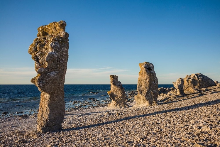 Picture of SWEDEN-FARO ISLAND-LANGHAMMARS AREA-LANGHAMMAR COASTAL LIMESTONE RAUK ROCK-SUNSET