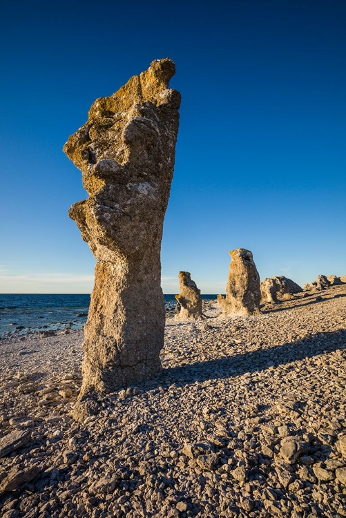 Picture of SWEDEN-FARO ISLAND-LANGHAMMARS AREA-LANGHAMMAR COASTAL LIMESTONE RAUK ROCK-SUNSET