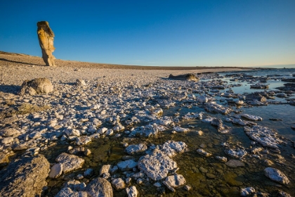 Picture of SWEDEN-FARO ISLAND-LANGHAMMARS AREA-LANGHAMMAR COASTAL LIMESTONE RAUK ROCK-SUNSET