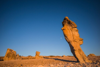 Picture of SWEDEN-FARO ISLAND-LANGHAMMARS AREA-LANGHAMMAR COASTAL LIMESTONE RAUK ROCK-SUNSET