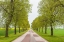 Picture of SWEDEN-LAKE VATTERN AREA-COUNTRY ROAD-SPRINGTIME