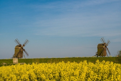 Picture of SWEDEN-OLAND ISLAND-LERKAKA-ANTIQUE WOODEN WINDMILLS