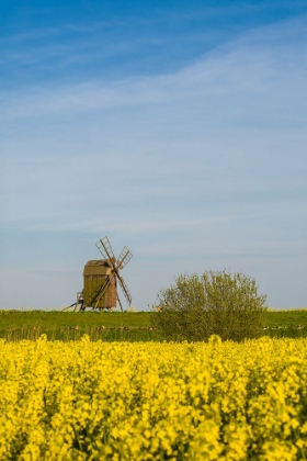 Picture of SWEDEN-OLAND ISLAND-LERKAKA-ANTIQUE WOODEN WINDMILLS