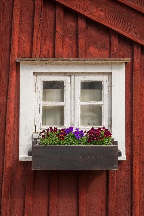 Picture of SWEDEN-KALMAR-TOWN BUILDING DETAIL