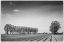 Picture of SOUTHERN SWEDEN-KASEBERGA-PLOWED FIELD-SPRINGTIME