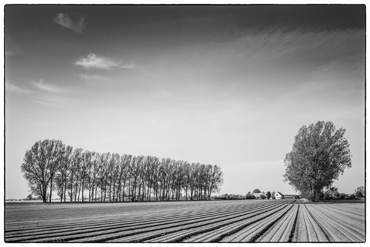 Picture of SOUTHERN SWEDEN-KASEBERGA-PLOWED FIELD-SPRINGTIME