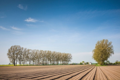 Picture of SOUTHERN SWEDEN-KASEBERGA-PLOWED FIELD-SPRINGTIME