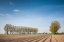 Picture of SOUTHERN SWEDEN-KASEBERGA-PLOWED FIELD-SPRINGTIME