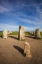 Picture of SOUTHERN SWEDEN-KASEBERGA-ALES STENAR-ALES STONES-EARLY PEOPLES RITUAL SITE-600 AD