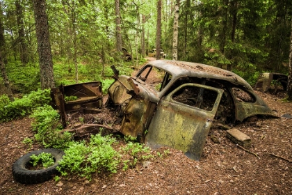 Picture of SWEDEN-SMALAND-RYD-KYRKO MOSSE CAR CEMETERY-FORMER JUNKYARD NOW PUBIC PARK-JUNKED CARS