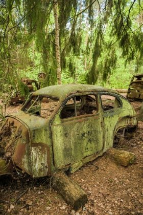 Picture of SWEDEN-SMALAND-RYD-KYRKO MOSSE CAR CEMETERY-FORMER JUNKYARD NOW PUBIC PARK-JUNKED CARS