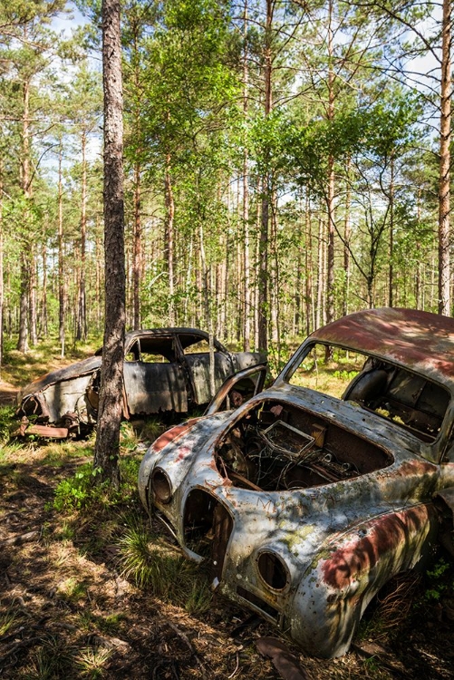 Picture of SWEDEN-SMALAND-RYD-KYRKO MOSSE CAR CEMETERY-FORMER JUNKYARD NOW PUBIC PARK-JUNKED CARS