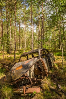 Picture of SWEDEN-SMALAND-RYD-KYRKO MOSSE CAR CEMETERY-FORMER JUNKYARD NOW PUBIC PARK-JUNKED CARS