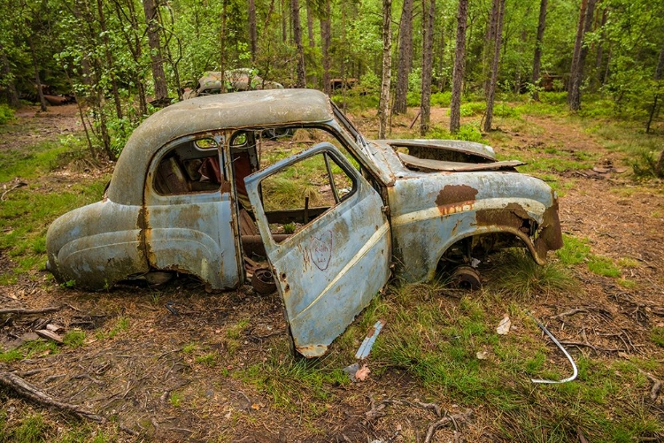 Picture of SWEDEN-SMALAND-RYD-KYRKO MOSSE CAR CEMETERY-FORMER JUNKYARD NOW PUBIC PARK-JUNKED CARS