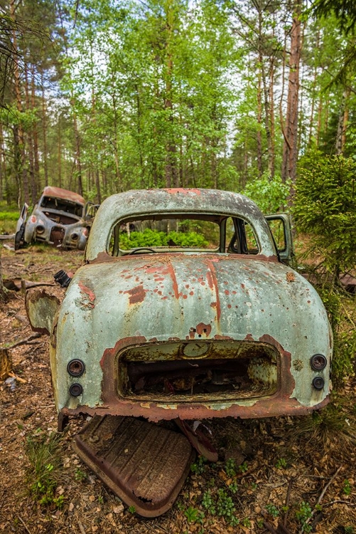 Picture of SWEDEN-SMALAND-RYD-KYRKO MOSSE CAR CEMETERY-FORMER JUNKYARD NOW PUBIC PARK-JUNKED CARS