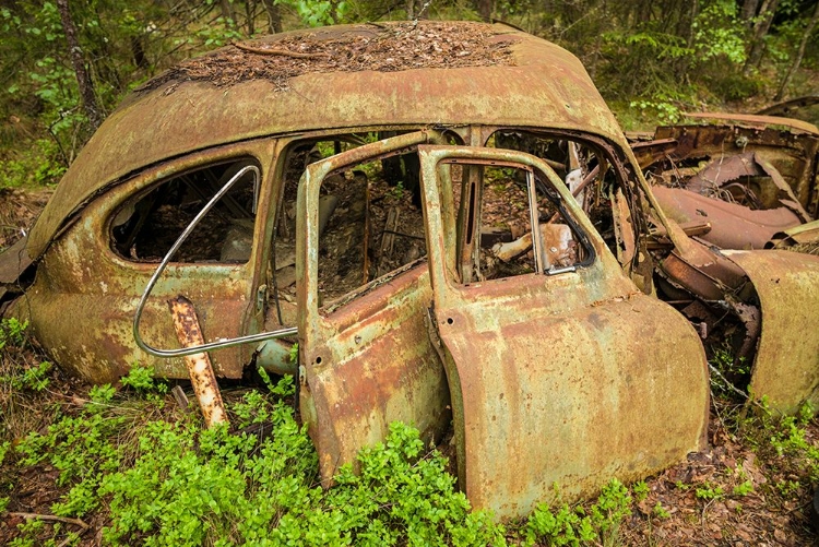 Picture of SWEDEN-SMALAND-RYD-KYRKO MOSSE CAR CEMETERY-FORMER JUNKYARD NOW PUBIC PARK-JUNKED CARS