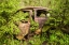 Picture of SWEDEN-SMALAND-RYD-KYRKO MOSSE CAR CEMETERY-FORMER JUNKYARD NOW PUBIC PARK-JUNKED CARS