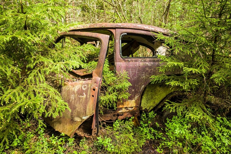 Picture of SWEDEN-SMALAND-RYD-KYRKO MOSSE CAR CEMETERY-FORMER JUNKYARD NOW PUBIC PARK-JUNKED CARS