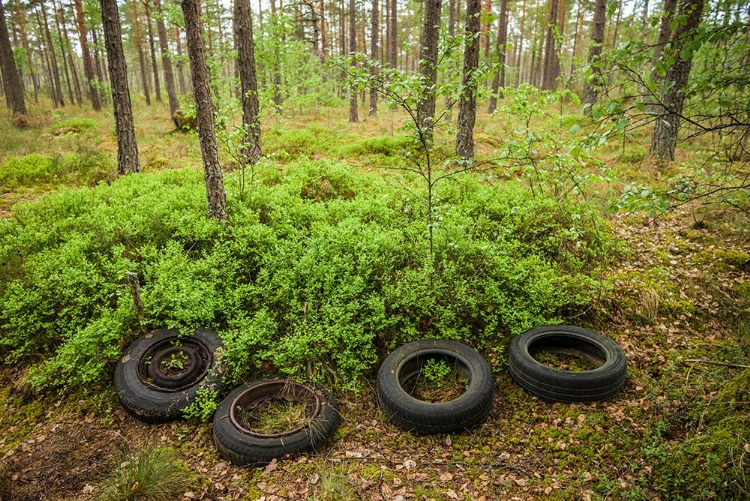 Picture of SWEDEN-SMALAND-RYD-KYRKO MOSSE CAR CEMETERY-FORMER JUNKYARD NOW PUBIC PARK-OLD TIRES