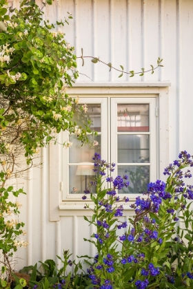 Picture of SWEDEN-BOHUSLAN-SMOGEN-HOUSE DETAIL