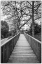 Picture of SWEDEN-BOHUSLAN-TANUMSHEDE-TANUM AREA-WALKWAY TO BRONZE AGE CARVINGS