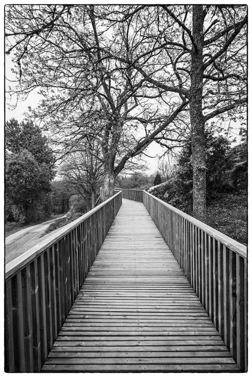 Picture of SWEDEN-BOHUSLAN-TANUMSHEDE-TANUM AREA-WALKWAY TO BRONZE AGE CARVINGS